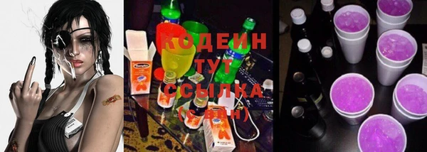 индика Володарск