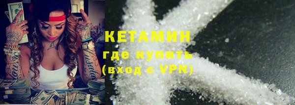 индика Володарск