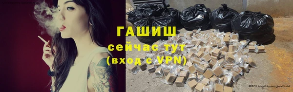 индика Володарск