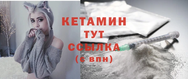 индика Володарск
