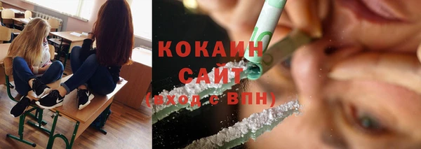 индика Володарск