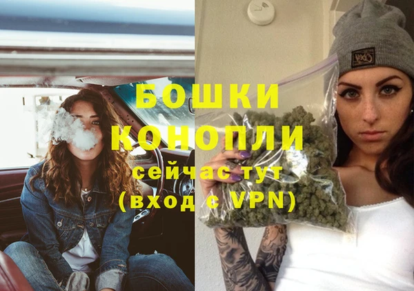 индика Володарск