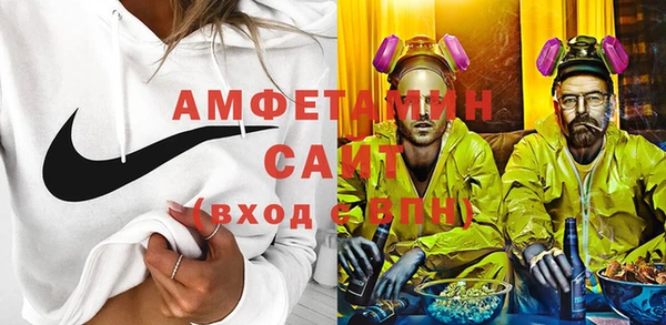 индика Володарск