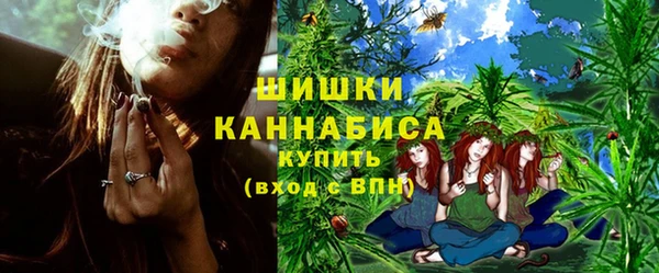 индика Володарск