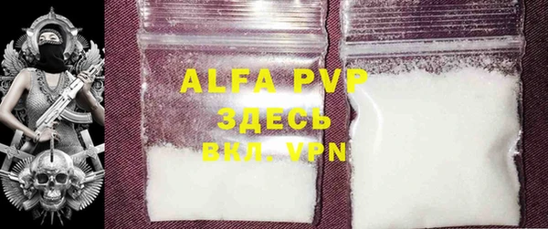 индика Володарск