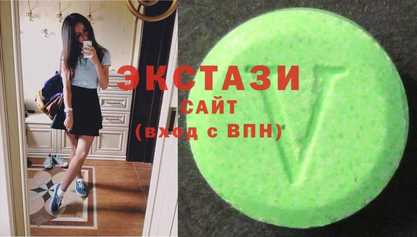 индика Володарск