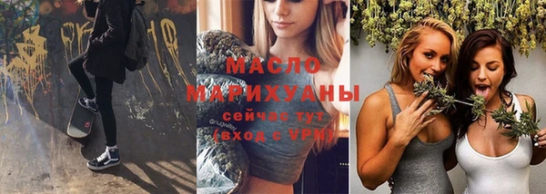 индика Володарск