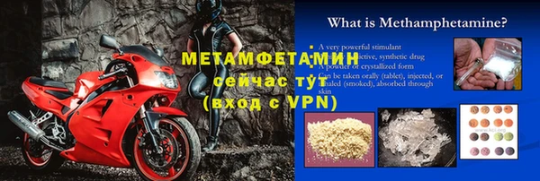 индика Володарск