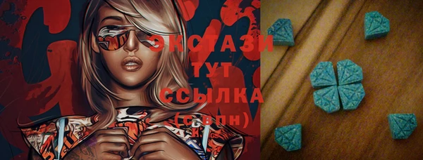 индика Володарск