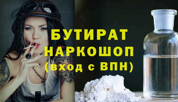 индика Володарск