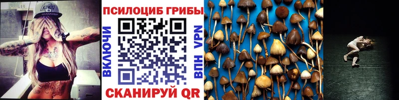 Псилоцибиновые грибы GOLDEN TEACHER  наркотики  Елизаветинская 